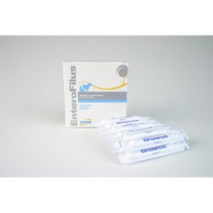 ENTEROFILUS 12 FIALE 10 ml (DRN)