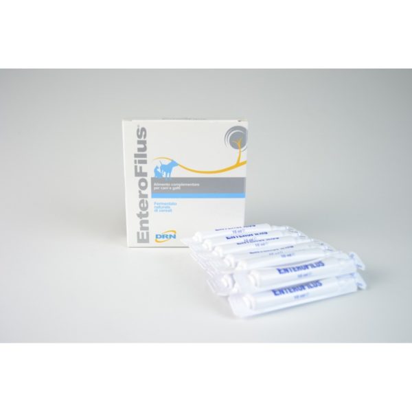 ENTEROFILUS 12 FIALE 10 ml (DRN)