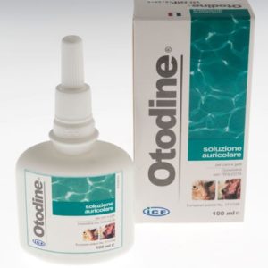 OTODINE SOLUZIONE AURICOLARE 100 ml