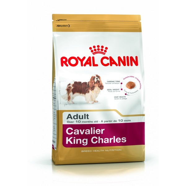 ALIMENTAZIONE PER CANE E GATTO – LINEA ROYAL CANIN – AZIENDA ROYAL CANIN