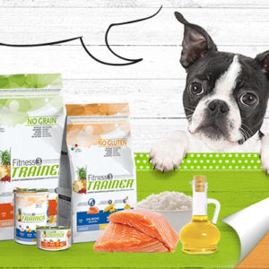 ALIMENTAZIONE PER CANE E GATTO – LINEA TRAINER – AZIENDA NOVAFOOD